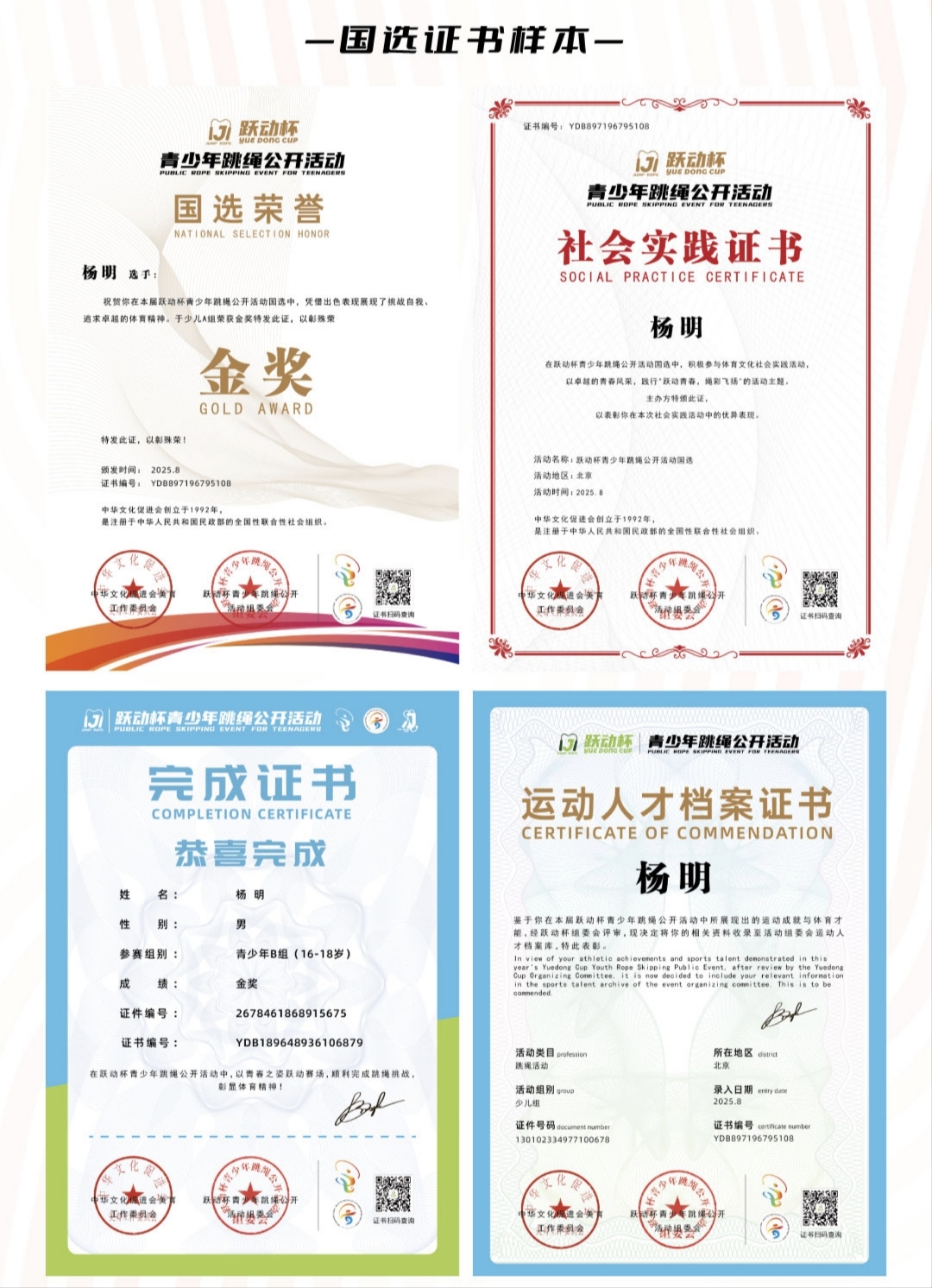 跃动杯国选荣誉展示